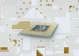 华体会app注册-中国篮球联赛品牌建设策略与粉丝经济发展路径研究，篮球品牌市场占有率