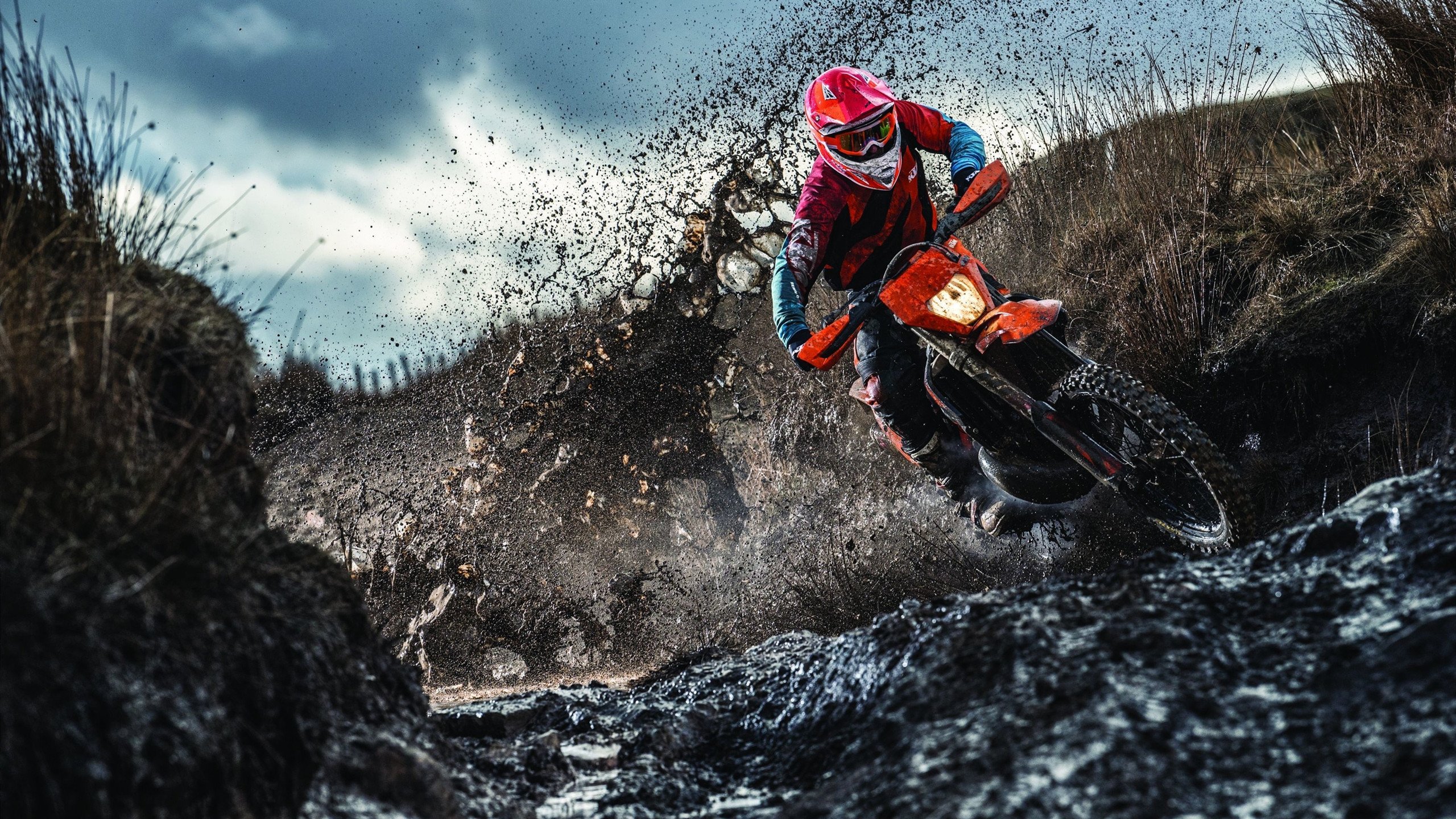 马拉松再掀热潮比赛延期引发讨论,马拉松赛事延期