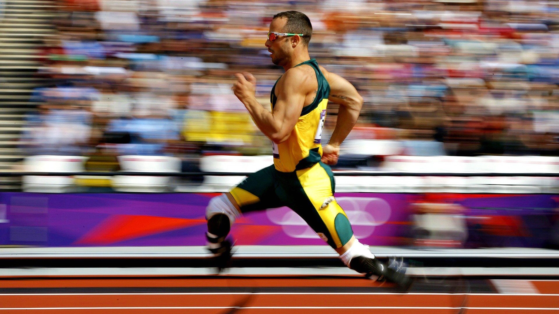 年轻跳水运动员崭露头角,未来可期,年轻的跳水运动员